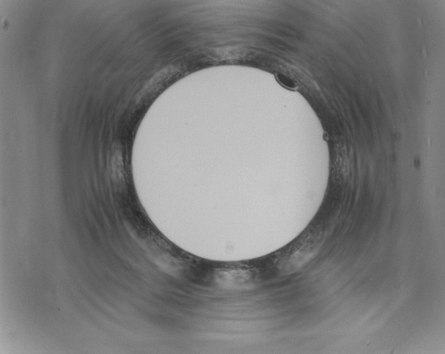 X0000075840220200610151553