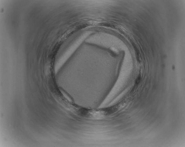 X0000075840221200610151553