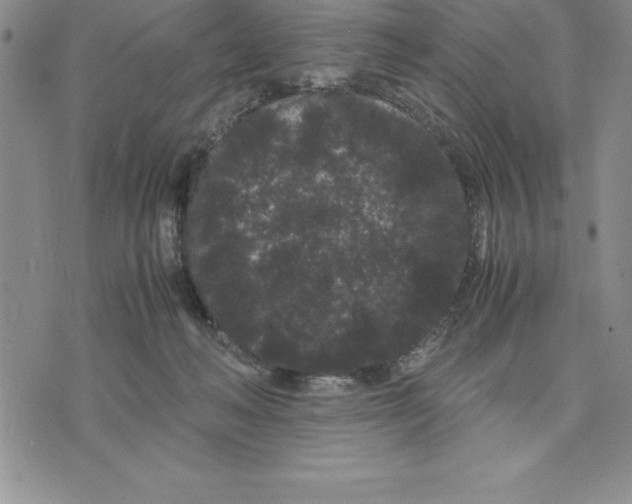 X0000075840222200610151553