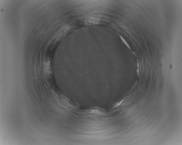 X0000075840224200610151553