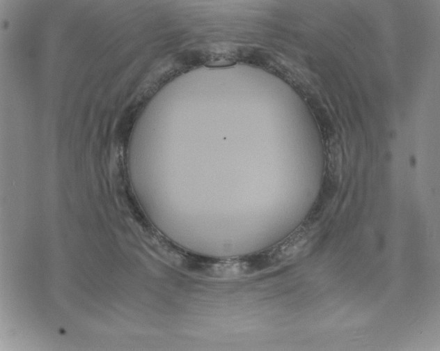 X0000075840225200610151553