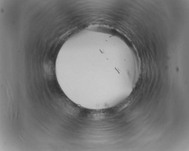 X0000075840228200610151553