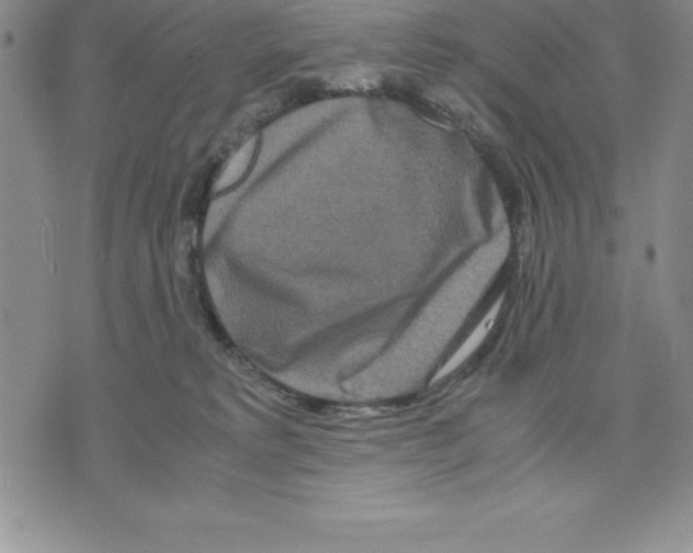 X0000075840229200610151553