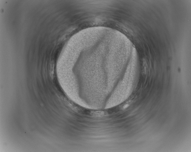 X0000075840230200610151553