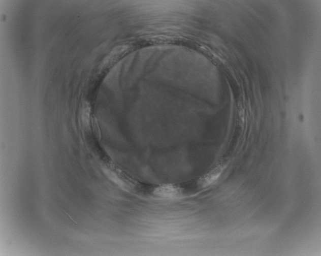 X0000075840231200610151553