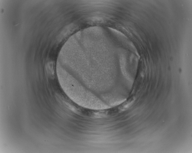 X0000075840232200610151553