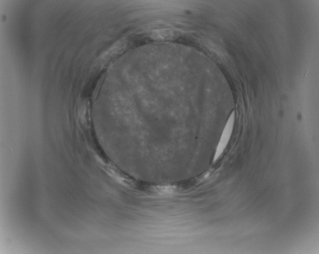 X0000075840233200610151553