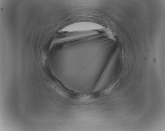 X0000075840235200610151553