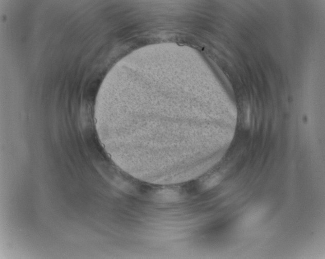 X0000075840236200610151553