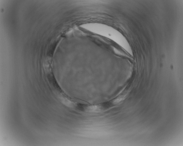 X0000075840237200610151553