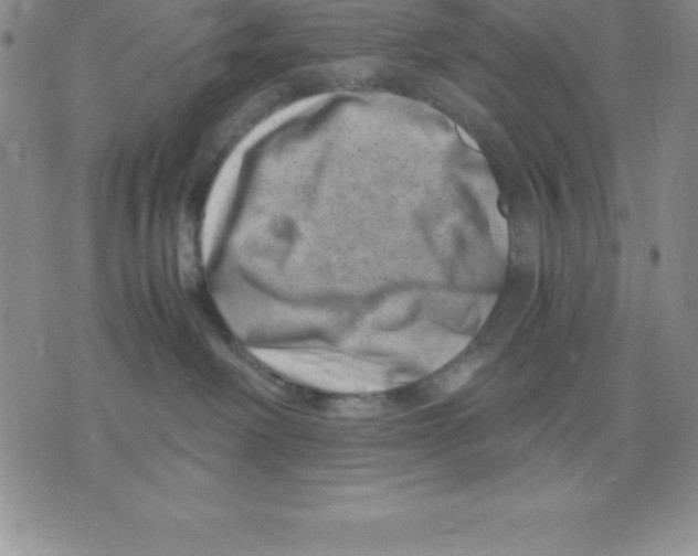 X0000075840238200610151553