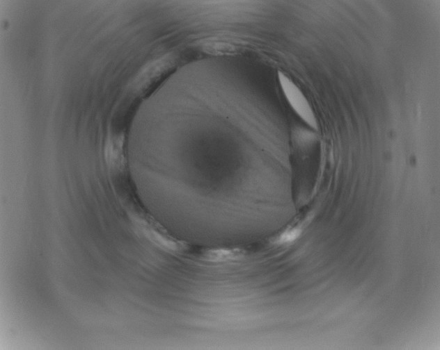 X0000075840239200610151553