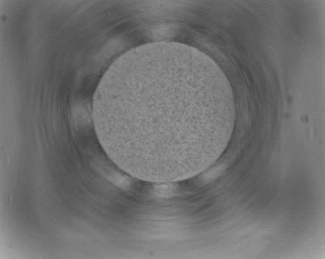 X0000075840240200610151553