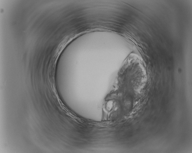 X0000075840241200610151552