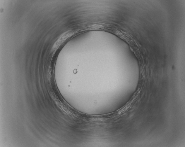 X0000075840242200610151552