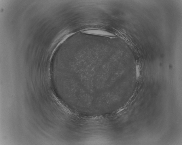 X0000075840243200610151552