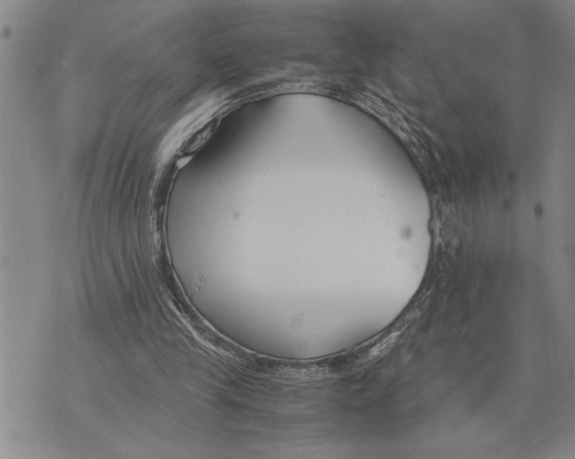 X0000075840245200610151552