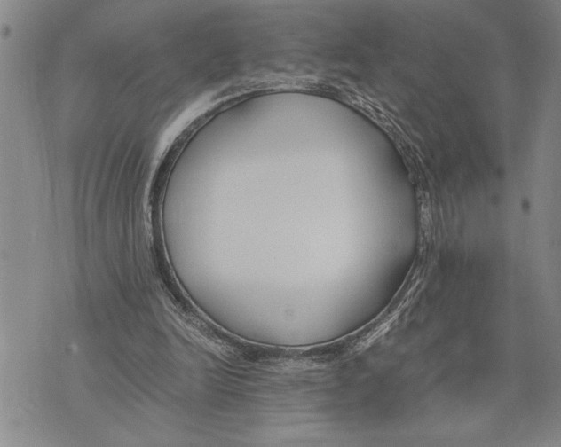 X0000075840246200610151552