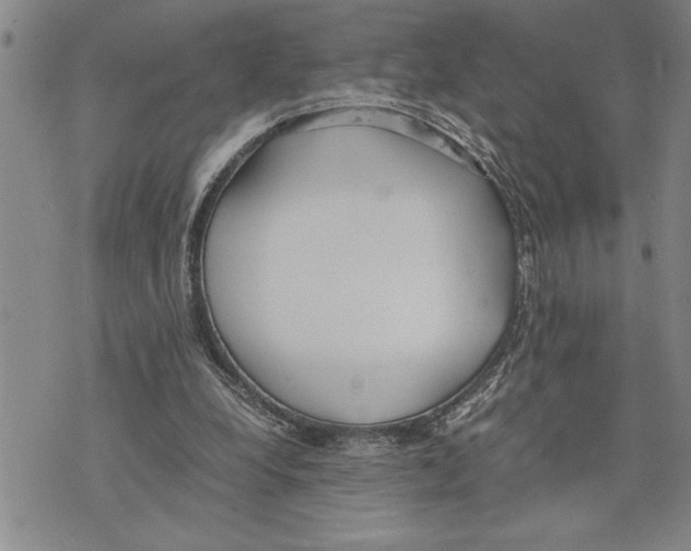 X0000075840248200610151552