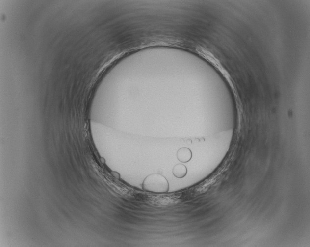 X0000075840249200610151552