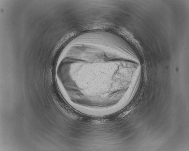 X0000075840250200610151552