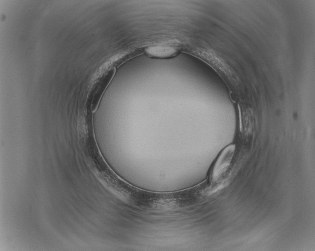 X0000075840252200610151552