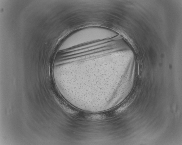 X0000075840253200610151552