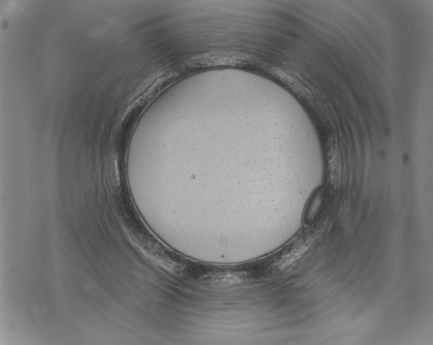 X0000075840254200610151552