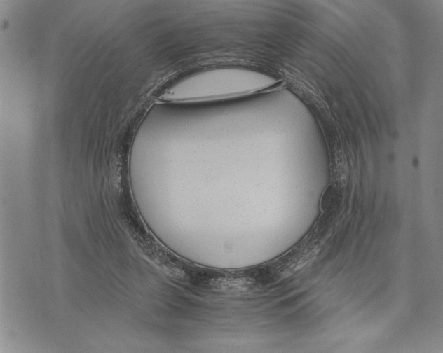 X0000075840255200610151552