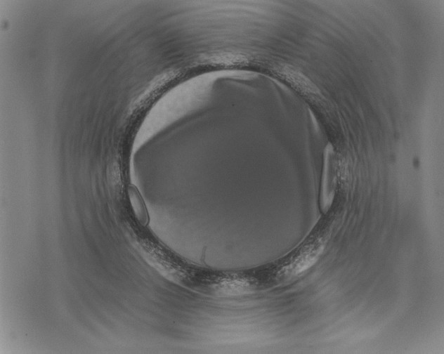 X0000075840256200610151552