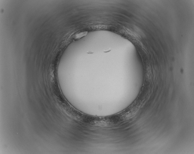 X0000075840259200610151552