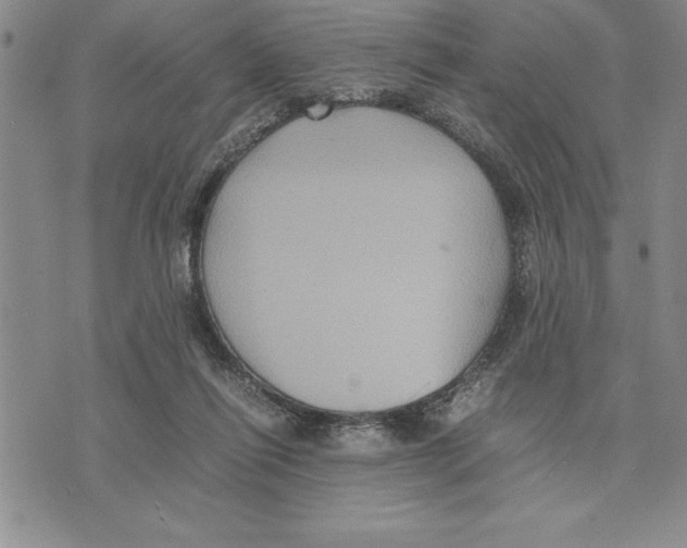 X0000075840262200610151552