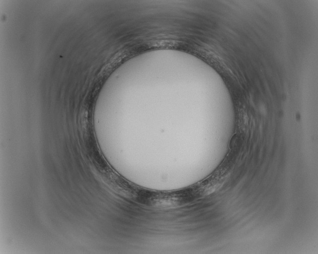 X0000075840263200610151552