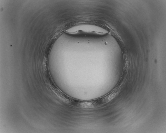 X0000075840265200610151552