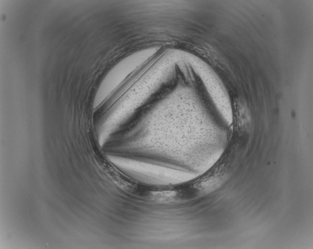 X0000075840266200610151552