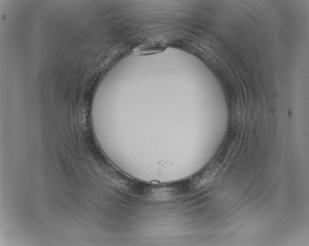 X0000075840268200610151552