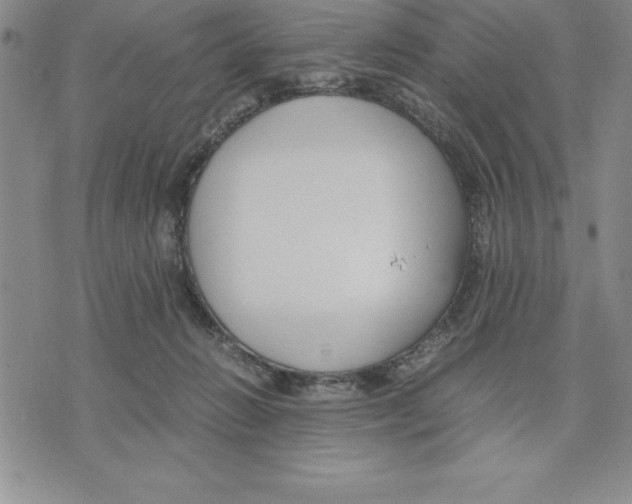 X0000075840270200610151552