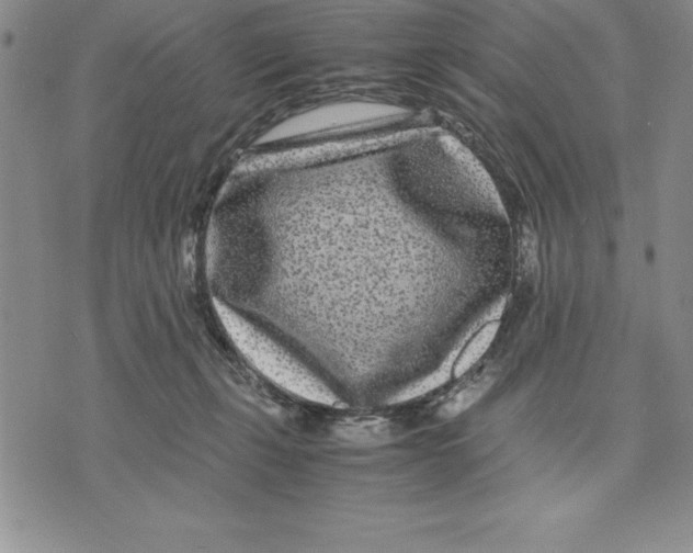 X0000075840271200610151552