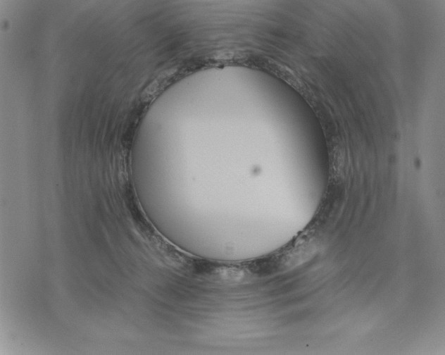 X0000075840272200610151552