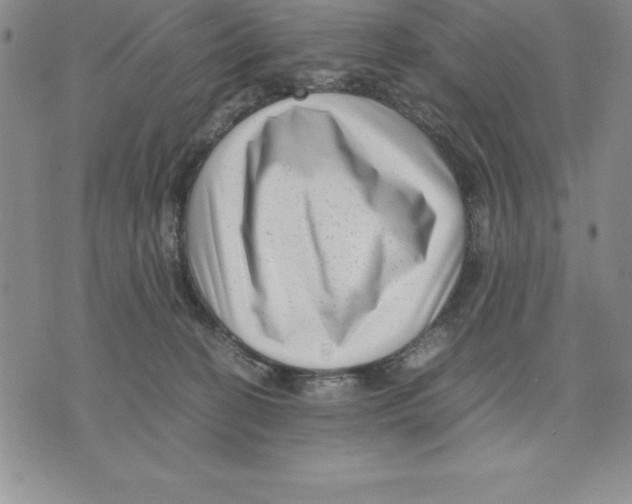 X0000075840274200610151552