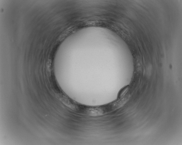 X0000075840275200610151552