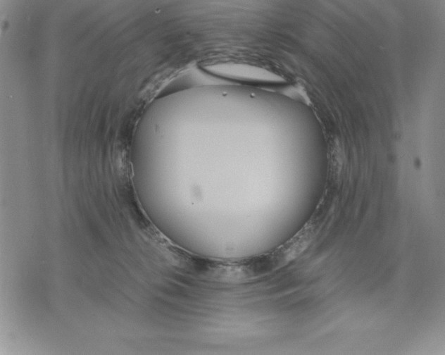 X0000075840276200610151552