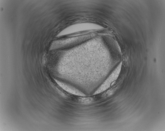 X0000075840277200610151552