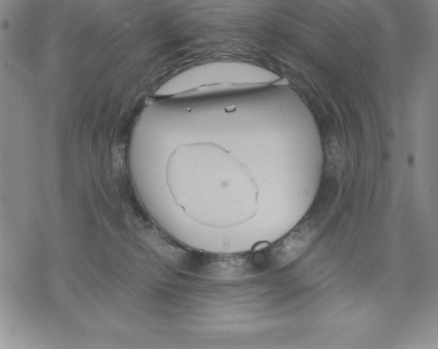 X0000075840278200610151552