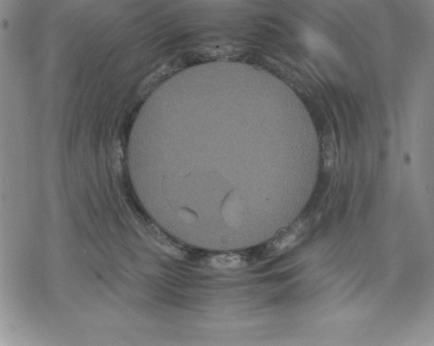 X0000075840279200610151552