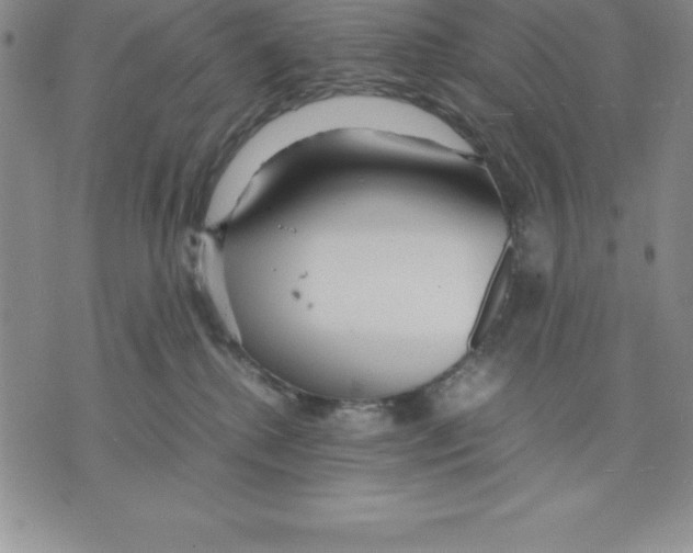 X0000075840280200610151552