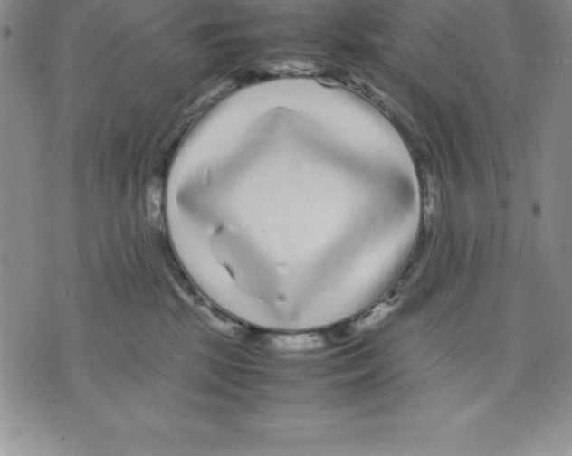 X0000075840281200610151552