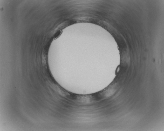 X0000075840282200610151552