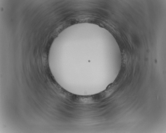 X0000075840283200610151553