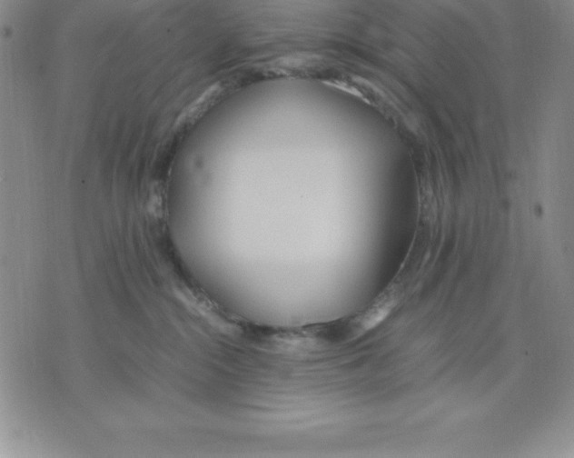 X0000075840284200610151553